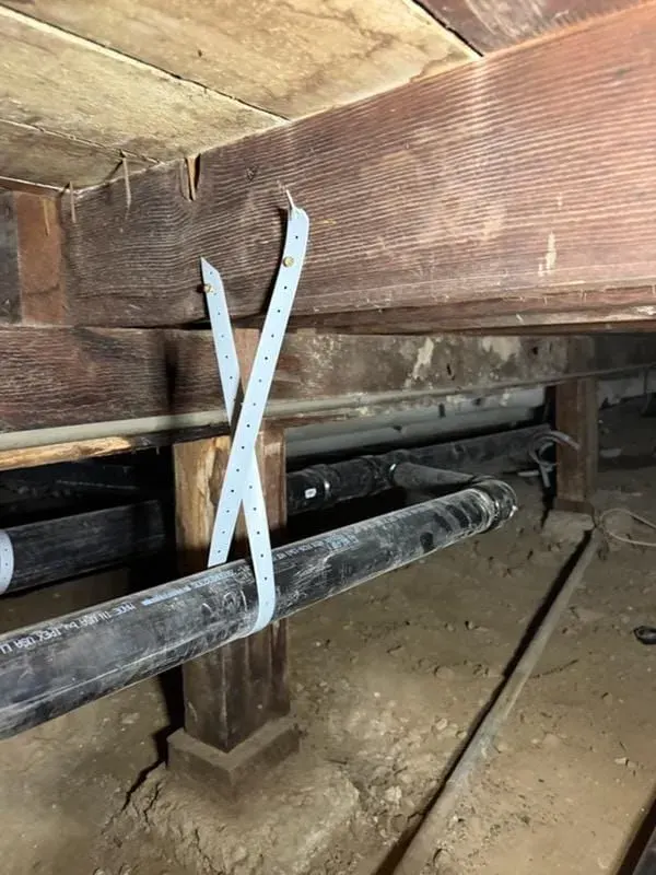 Mold remediation in Los Angeles