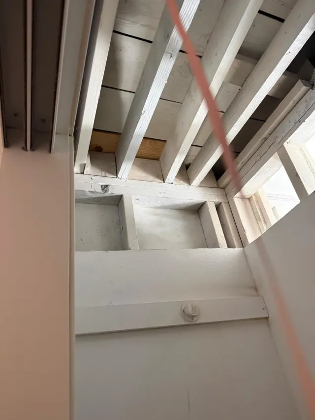 Ceiling opened down to the framing during a mold remediation job in Van Nuys
