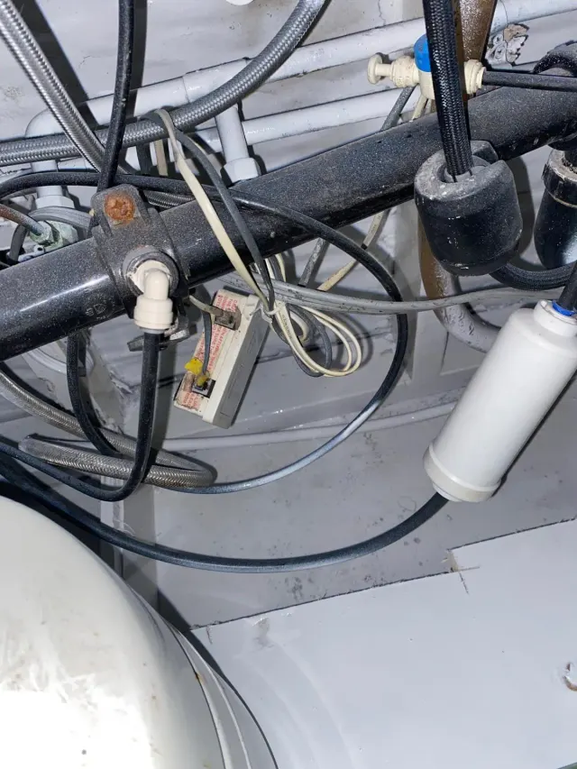 Mold remediation in Whittier