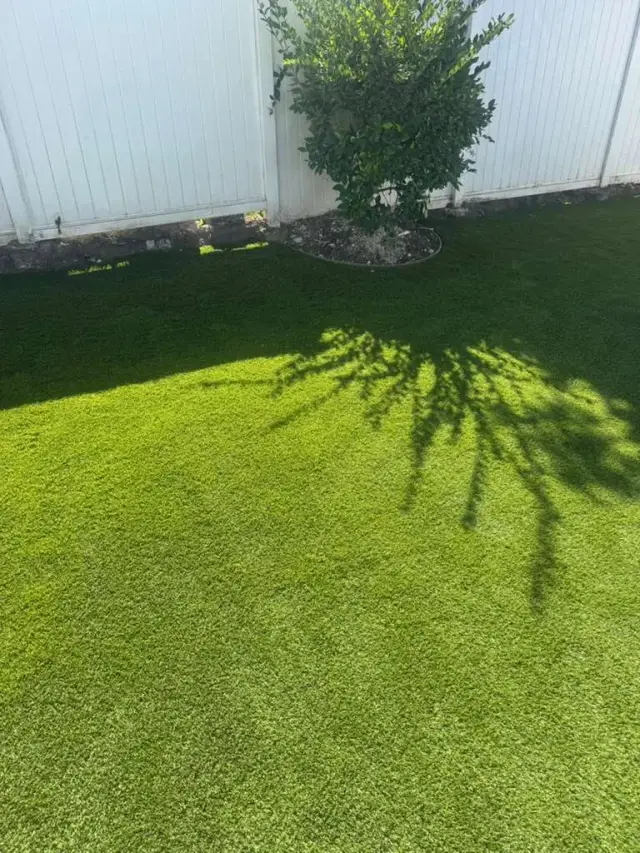 Outdoor and landscape in Lake Forest