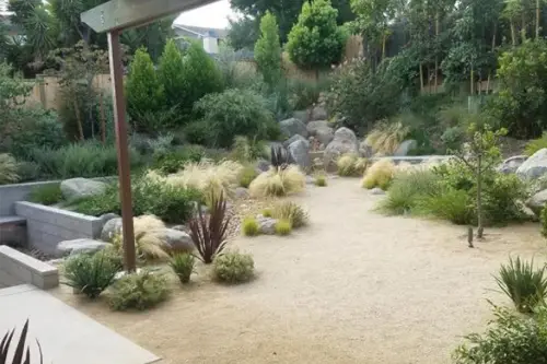 Backyard with decomposed granite, desert grasses and boulders