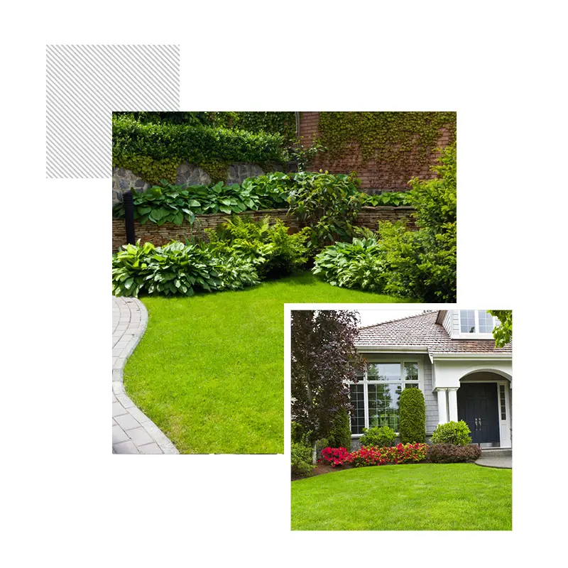 A curved lawn with planting beds, and a front lawn with flower beds