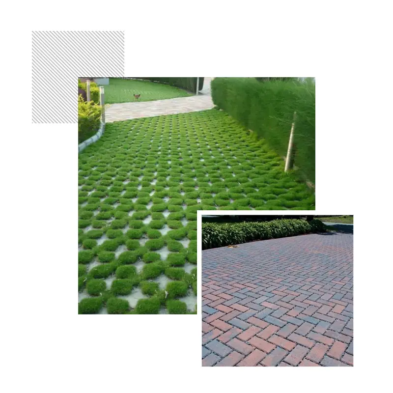 Grass pavers with grass growing between the cells, and a red brick-paver driveway laid in a herringbone pattern